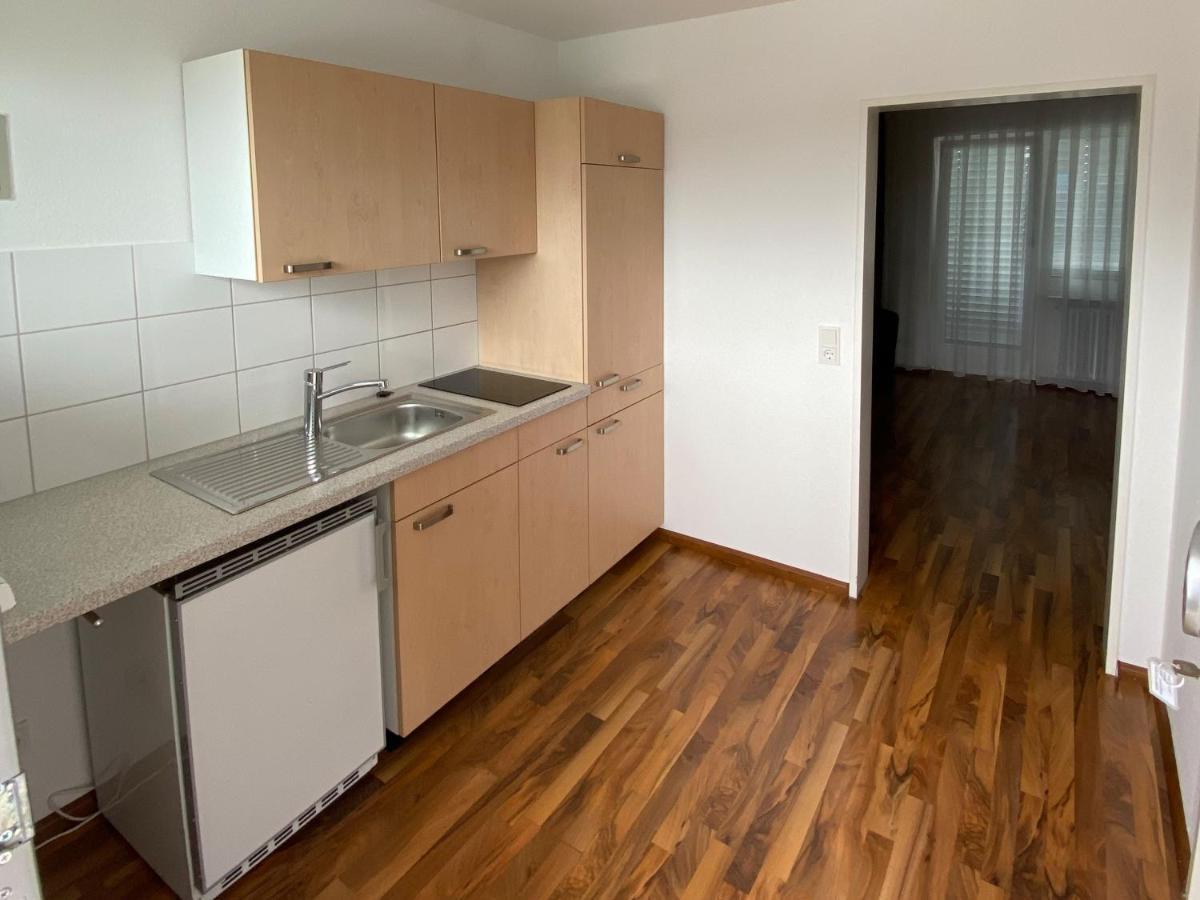 Zum Ziel Hotel Grenzach-Wyhlen Bei Basel Dış mekan fotoğraf